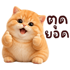 ❤️น้องแมวส้มตุ๊ต๊ะน่ารัก❤️