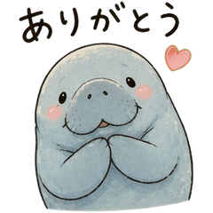 Relaxed Manatee