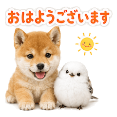 Shiba Inu & Snow Fairy Polite Stickers