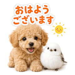 Toy Poodle & Snow Fairy Polite Stickers