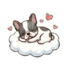 Fluffy Frenchie  Days