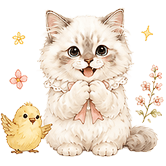 Minyacat2