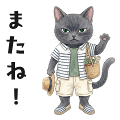 Fashionable Gray Cat Vol.1