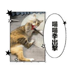 Curry come