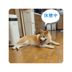 aki  and akkey_20260623060221