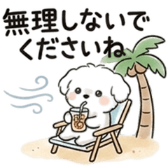 毎日使えるふわふわマルチーズスタンプ夏