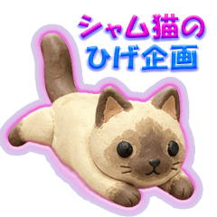 Siamese Cat Whiskers Project