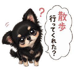 A Black Chihuahua's Family Sayings