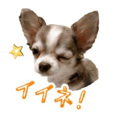 hiro yanyan_20260623114905