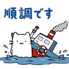 Necoco-chang the cat