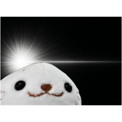 chipi_20260613083913