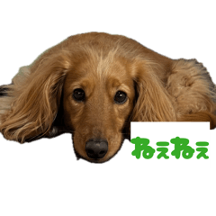 Rina_20260613191951
