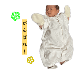sana_20260613195116
