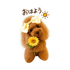 song june_20260613203049