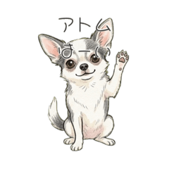 Airi_20260613203358