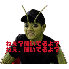 tatsu_20260613204655