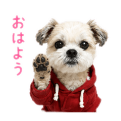 ren_20260613203305