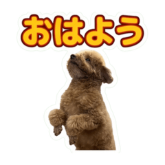 Charlie_3