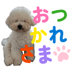 Popo_20260613205129
