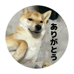 YU_20260613212637