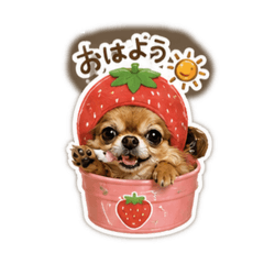 REI_20260613215617