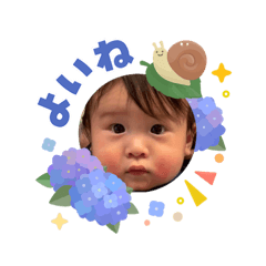Miya_20260613222704