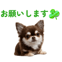 misae_20260613222819