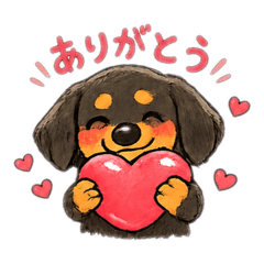 pop_dachshund