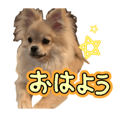 nnsrui_20260613223124