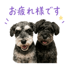 yuki_20260613223905