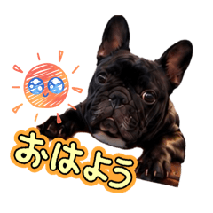 anzu_20260613222910