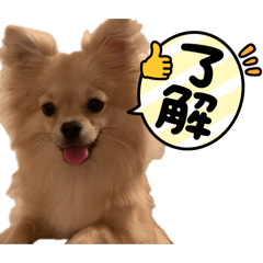 nnsrui_20260613230418
