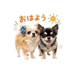 mitsu_a