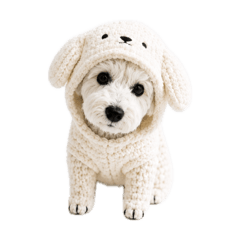shuna.lili
