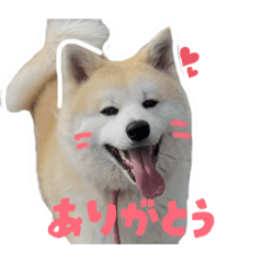 Kaguchann