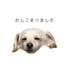 Ohagi_20260613235702