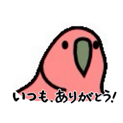 dexyuhutaro_20260614002319