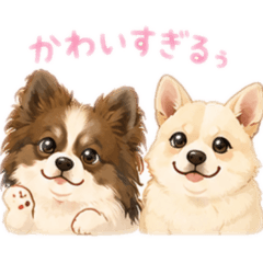 Rukamoka_20260614002229