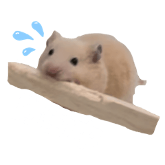 www_20260614010429