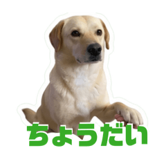 Yasc_love_stamp
