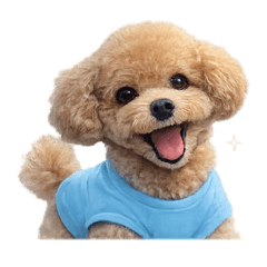 Ikura_20260614005933