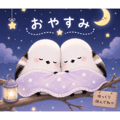 ckk_20260614123424