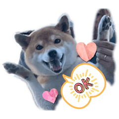 Wakowako_20260614124724