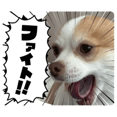 kenta_20260614130714