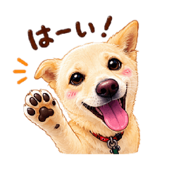 JUN_20260614131447