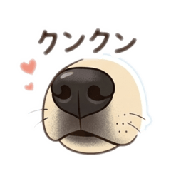 Miya_20260614132622