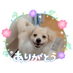 Ponta_20260614134745