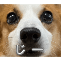 ponkichi_20260614134852