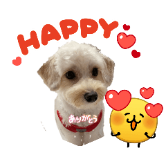 hapihapi_20260614142846