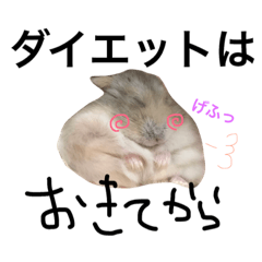 Ham jack WORLD